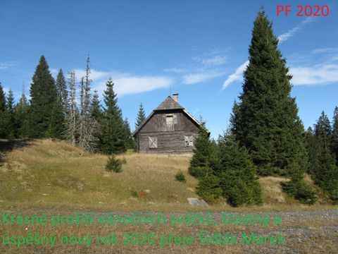 Foto 19